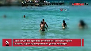 Denizde bir anda belirdi... Görenler şaşkına döndü!