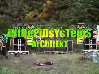 Intrepidsystems architekt