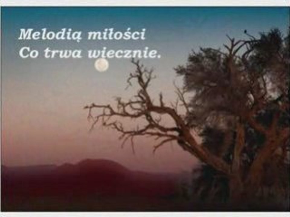 Aleja marzeń