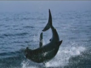 Destination terre sous les mers