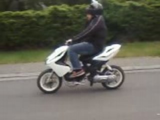 mon nitro evo
