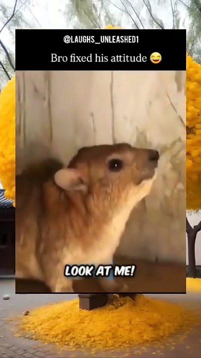 Funny Meme Compilation 2026 😂 #funny