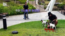 알고 보니 늑대가 둘...ㅎ 밖에서 공격성 폭주하는 '크림'
