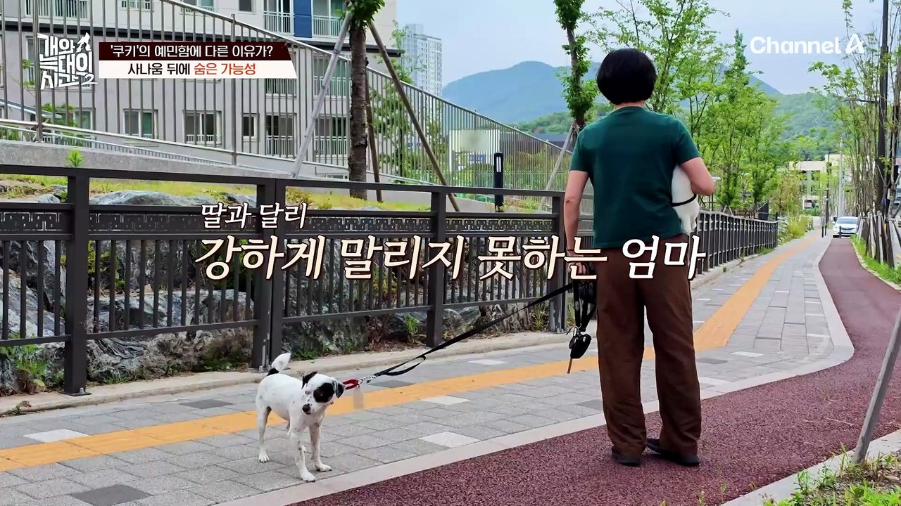 '쿠키'의 예민한 입질! 원인은 다리 통증?