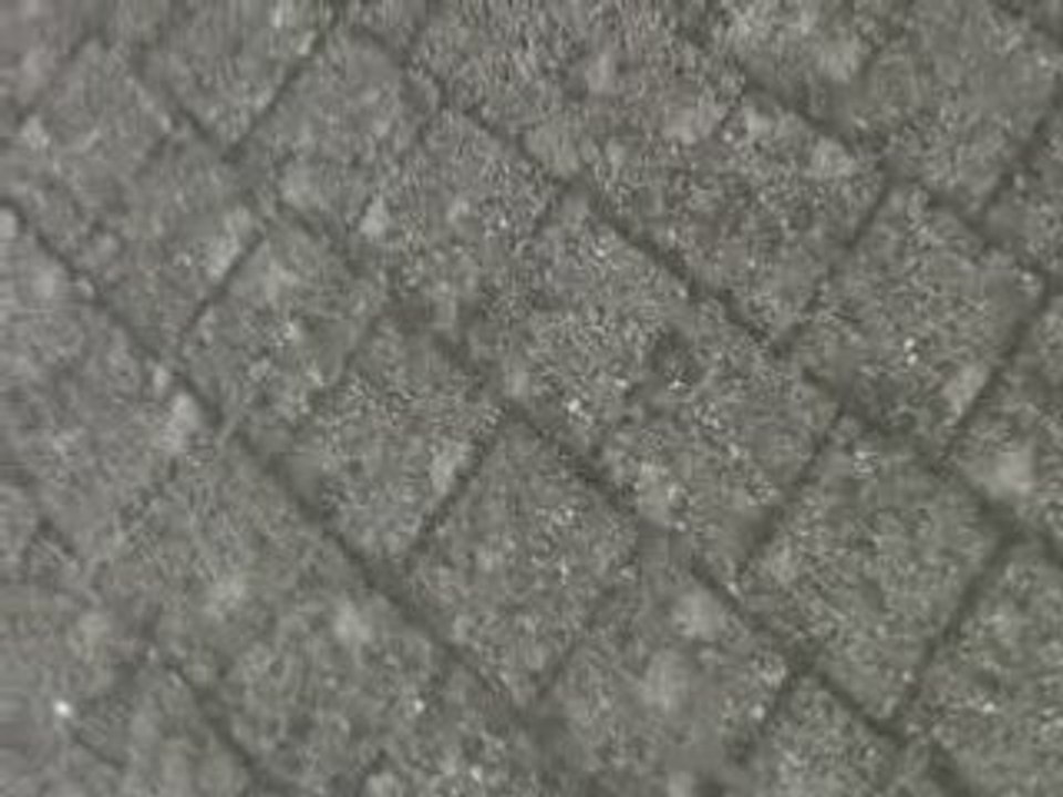 MOV003