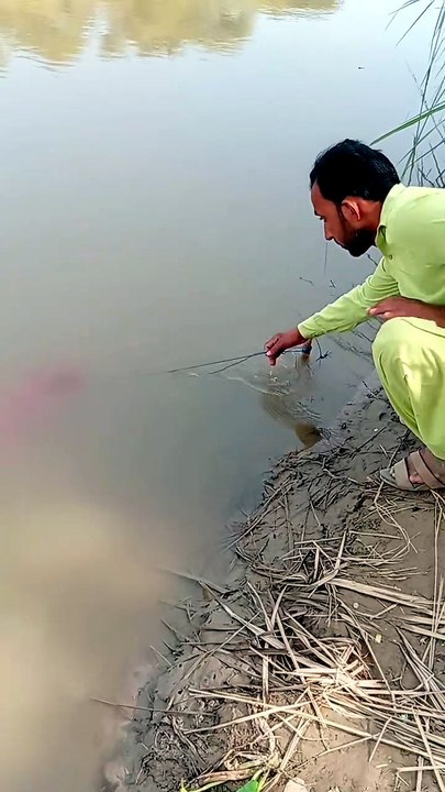 Fish man