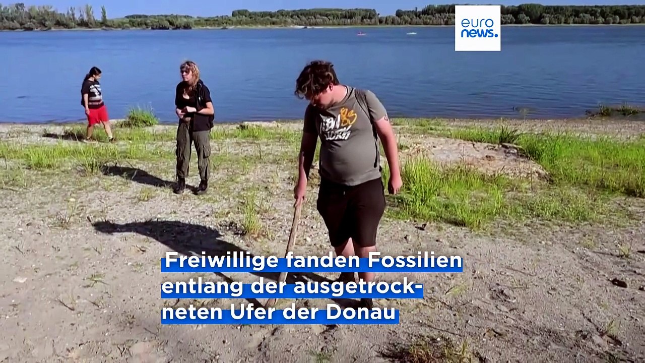 Dürre legt fossilien und kriegsschiffswracks an der donau frei