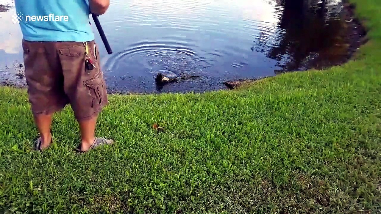 Il pêche un bébé crocodile très en colère