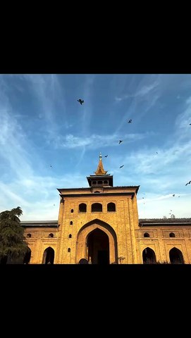 Eid Milad Un Nabi 2026 #festival, #miladunnabi #Eid, #Islamicvideo