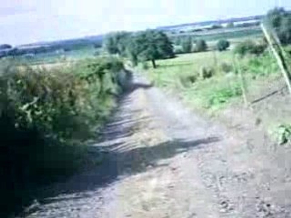 V4