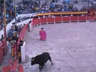 toro casse les planches