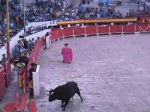 toro casse les planches