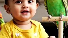 👶🦜🤣 Baby Meets a Funny Parrot! Their Reactions Are Adorable! 🥰 | AI-Generated Video