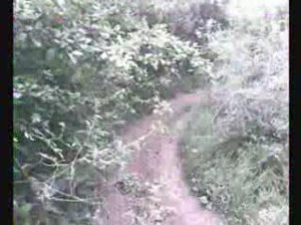 [Bilou*] Session pit bike !