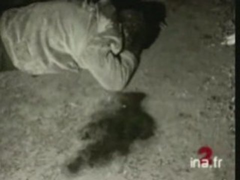 Une Histoire du Ghetto Français, 17 Octobre 1961