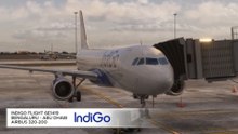 Full Flight Fenix A320 Indigo | Bengaluru ✈ Abu Dhabi | MSFS 2024
