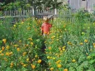 021-asnieres-juillet2008