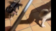 Agozzino Alfredo story con i suoi amici