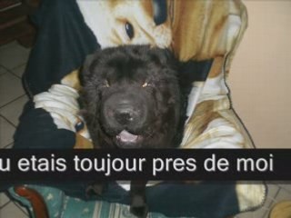 Adieu, mon gros loup noir_0001