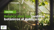 Bélgica abre sus jardines botánicos al público