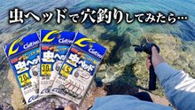 【穴釣り】虫ヘッドで穴釣りが出来るか検証してみた