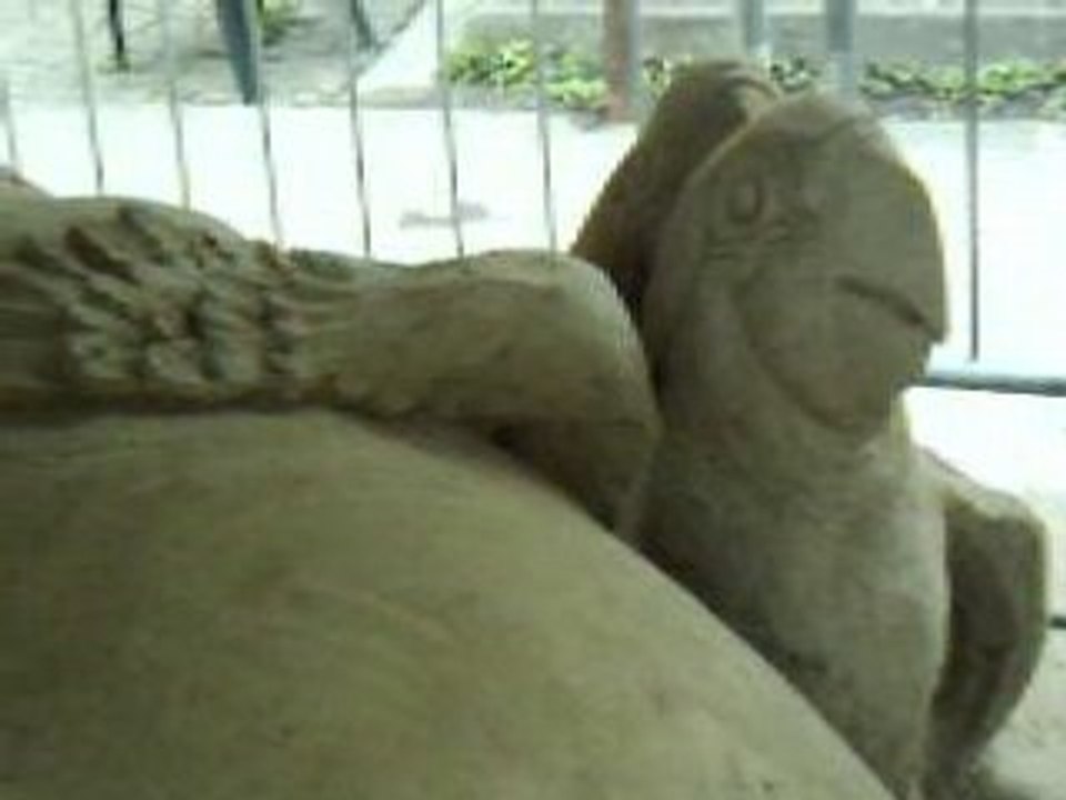 Arche de Noé 1
