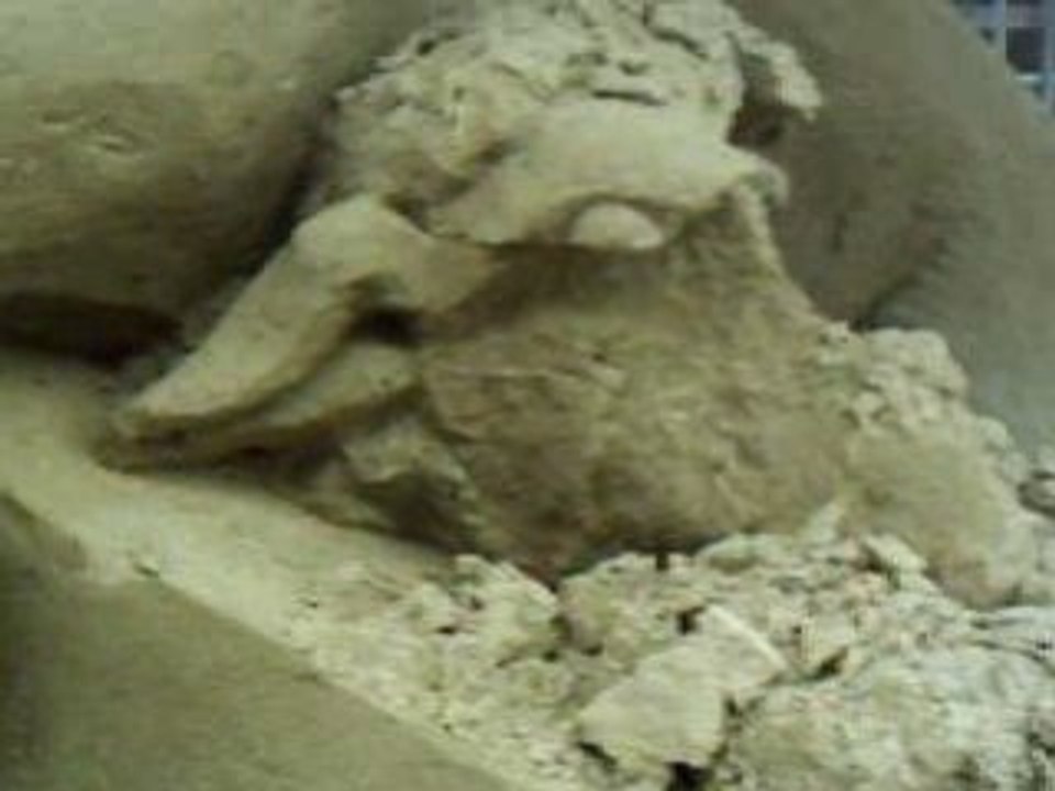 Arche de Noé 3