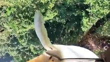 Nature’s Richness in Every Drop