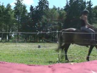 Quenzo éthologie 17/07 (3)