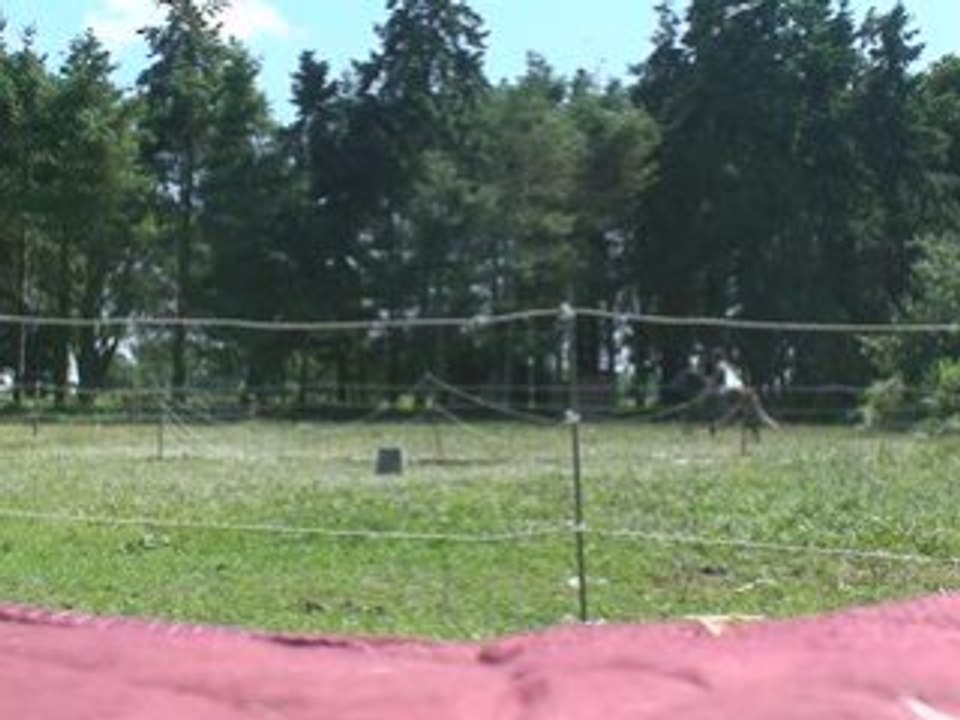 Quenzo éthologie 17/07 (4)