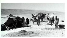 قصص وقصائد قبيلة الرولة من عنزه
