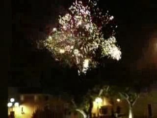 Feu d'artifice le muy