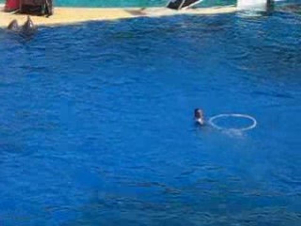 Marineland