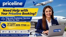 Priceline® Customer Care 2026: Phone, Chat & Online Support Guide