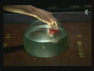 Fort-Boyard - Valérie 3