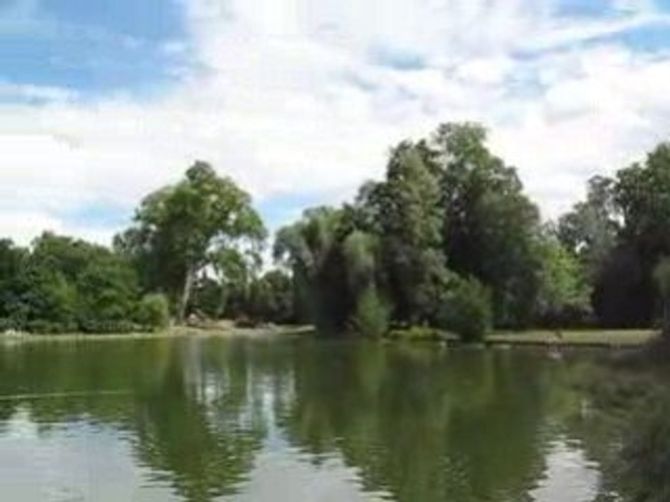 See im Schlosspark von Wiesbaden-Biebrich