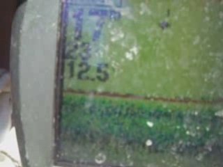 19 Temmuz 2008 - izmir istavrit avı