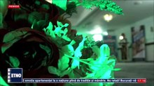 Ruxandra Pitulice - O batrana de la tara (Petrecerea artistilor - ETNO TV - 24.05.2026)