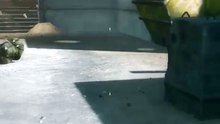 ⭐Accidentally Picked Up a Star #Battlefield3