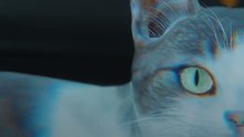 Why Capcom Regretted Pragmata's Early Reveal