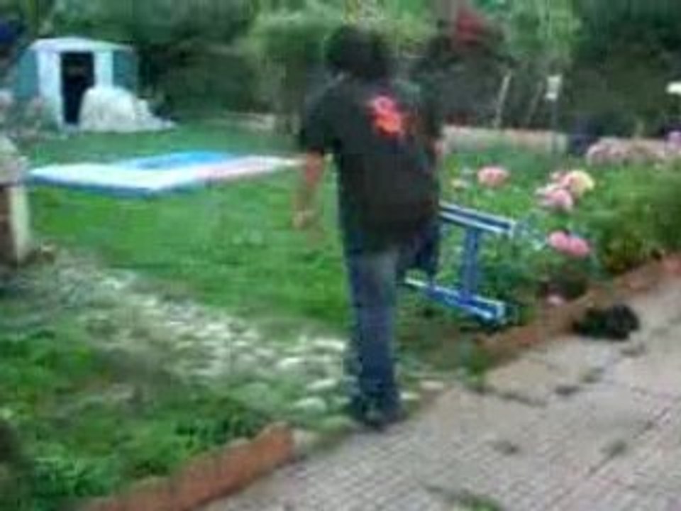 fgfdgdfhfdh