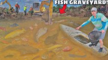 Rescatando a todos los peces de un estanque abandonado y destruido