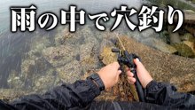 【穴釣り】雨の降る中で穴釣りをしました