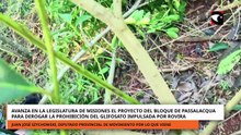 Avanza en la Legislatura de Misiones el proyecto para derogar la prohibición del glifosato