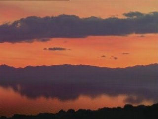 Au temps des Mammouths (1/3)