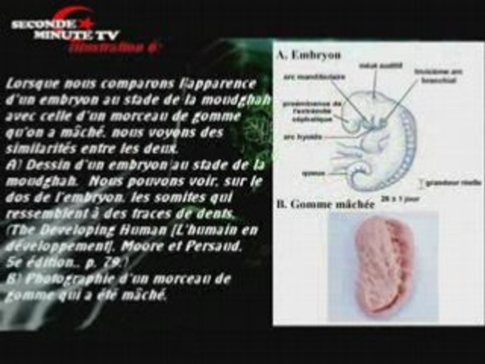 le développement embryonnaire humain dans le Coran