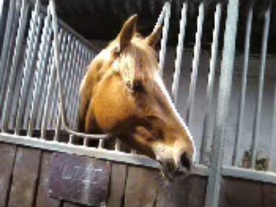 Lilou