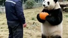 Huahua's Dance Universe｜花花的舞蹈宇宙（24）