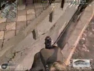 cod 4 bug