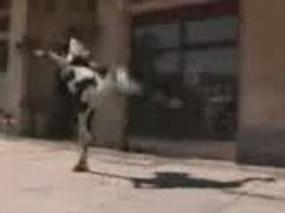 VACHE folle